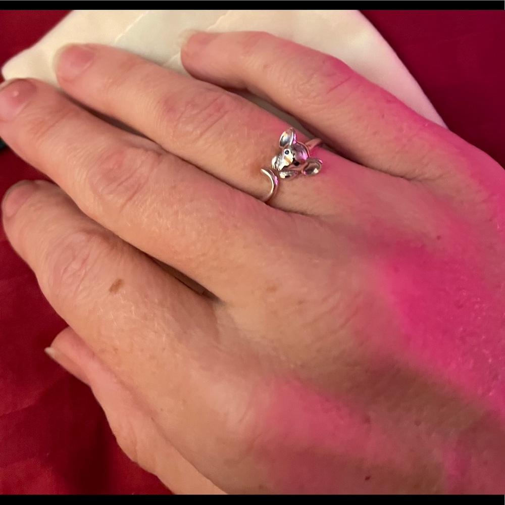 Restocked - Cat Ring & Mouse Ring - Picture 9 of 10